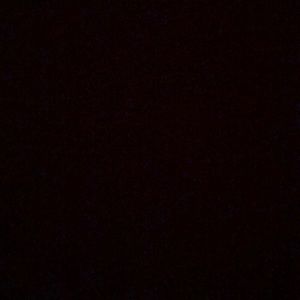 Meet your Posher, Angeline